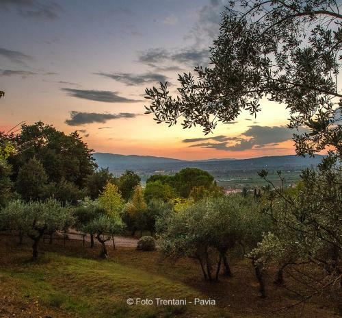 Agroturismo Setterhouseagrihotel