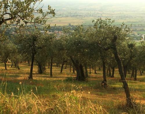 Agroturismo Setterhouseagrihotel