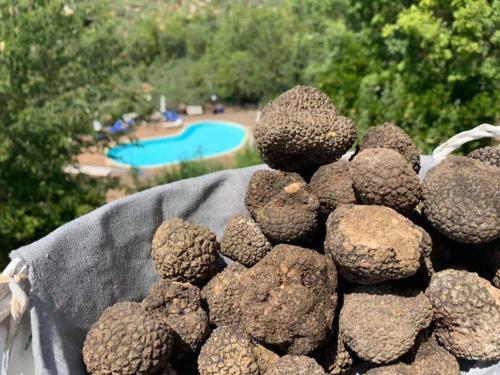 Agroturismo Setterhouseagrihotel