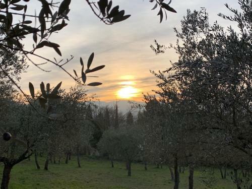 Agroturismo Setterhouseagrihotel