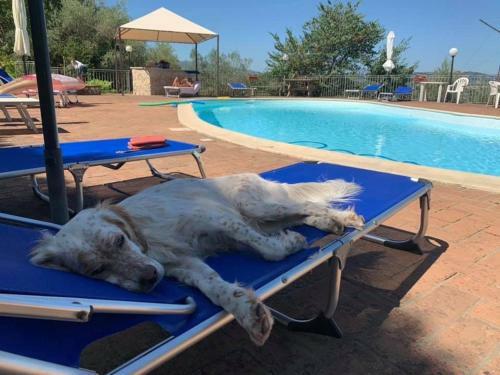 Agroturismo Setterhouseagrihotel