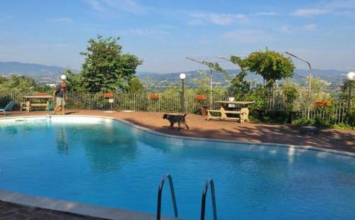 Agroturismo Setterhouseagrihotel