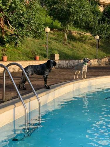 Agroturismo Setterhouseagrihotel