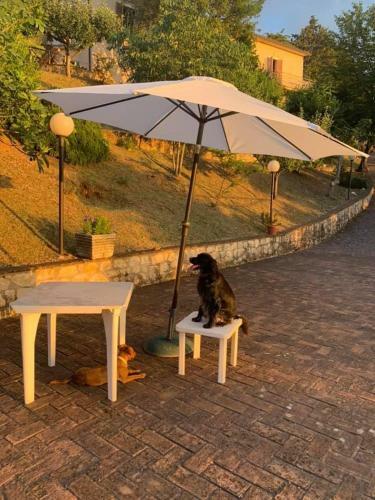 Agroturismo Setterhouseagrihotel