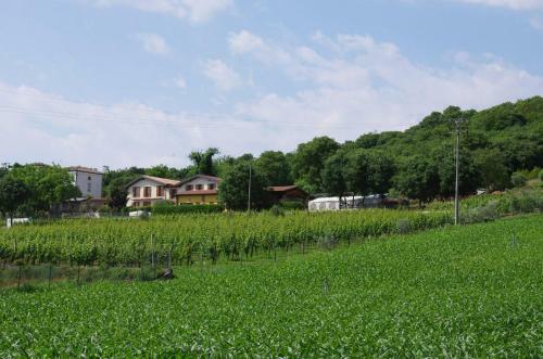 Agroturismo Agriturismo Casa Villi