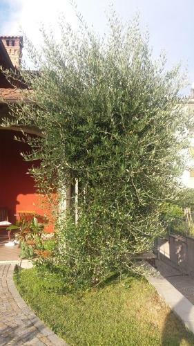B&B La Valletta