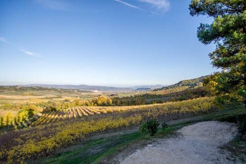 Paradiso Tra Le Vigne