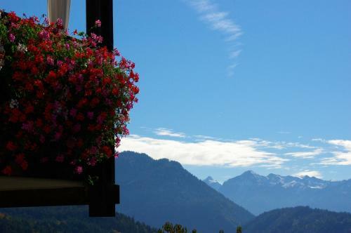 Hotel Gasthof Krone