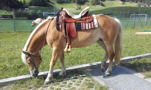 Agroturismo Leitenhof