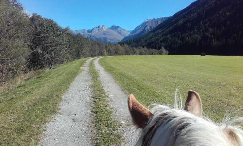 Agroturismo Leitenhof