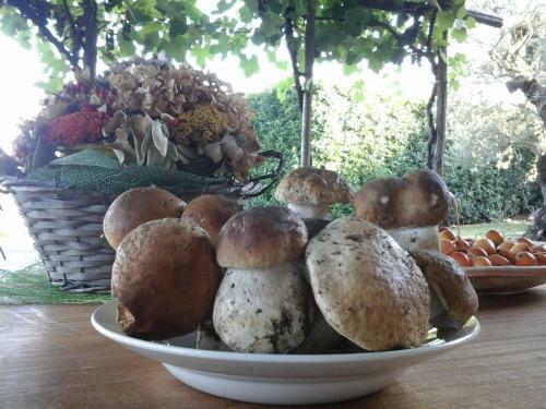 Bed & Breakfast Bio&b Cascina Montebello