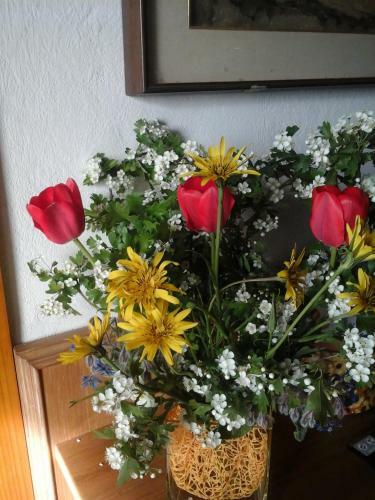 Bed & Breakfast Bio&b Cascina Montebello