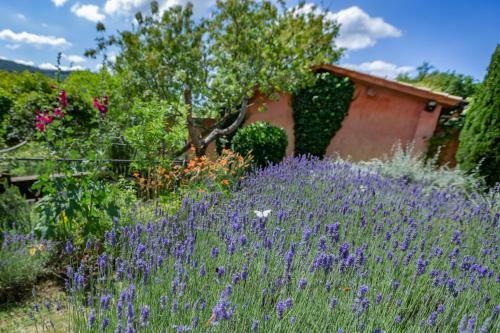 Agroturismo Casa Rosa