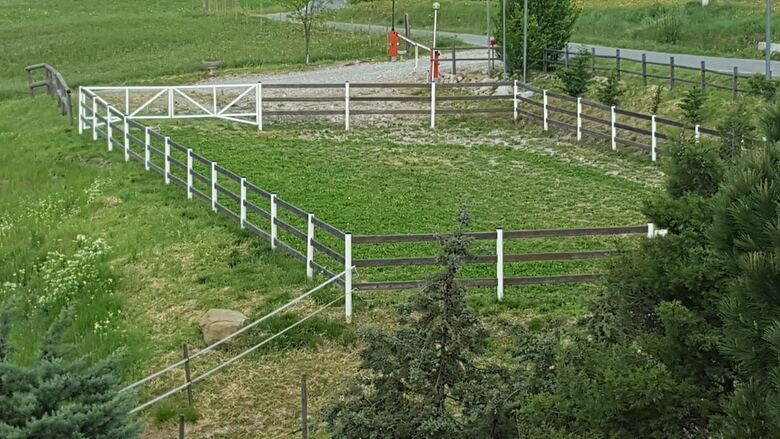 Agroturismo Allevamento B&B