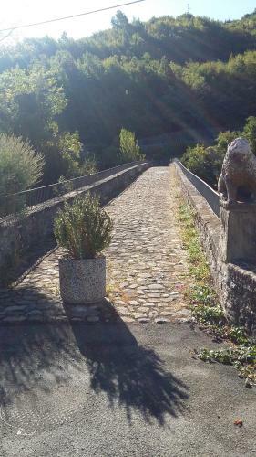 Ponte Dei Leoni
