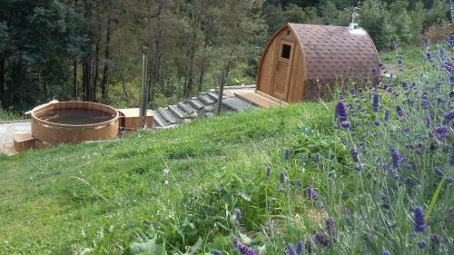 Bed & Breakfast Nuit A Pleiney