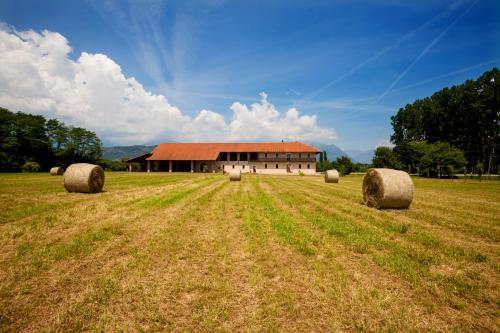 B&B Tenuta Cascina Nuova