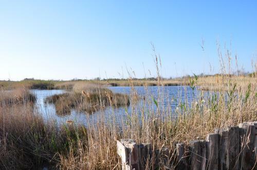 Agroturismo Masseria Le Terrazze Di Serranova