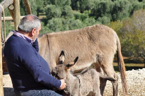 Agroturismo Masseria Le Terrazze Di Serranova