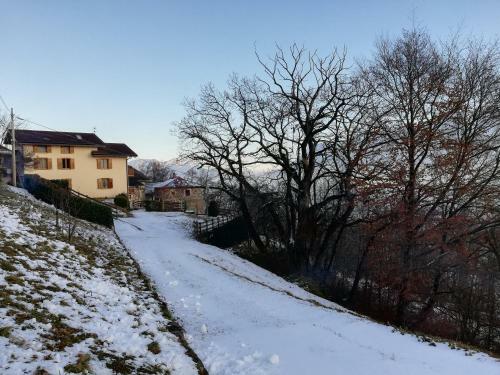 Lodge Casa Di Ronchi