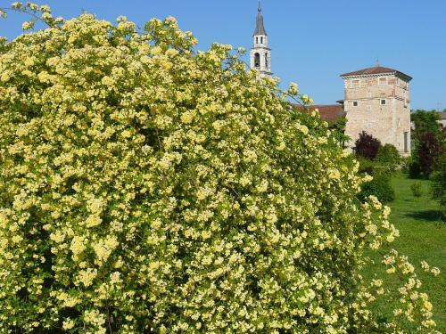 B&B Villa Trissino Rossi