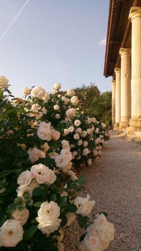 B&B Villa Trissino Rossi