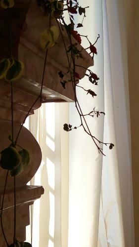 B&B Villa Trissino Rossi