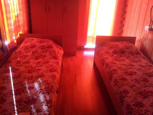 Hotel Alazis Alakol