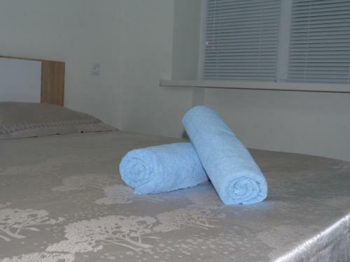 City Center Apartment On Momyshuly 20