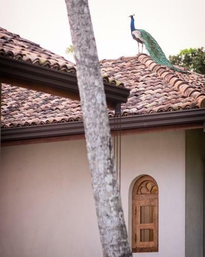 Hotel Koggala House