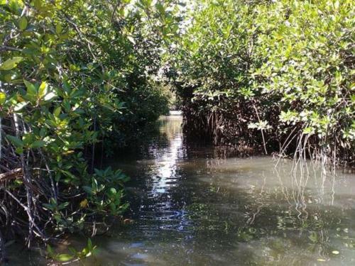 Hostal The Mangroves Villa Ahangama
