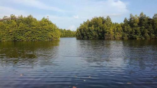 Hostal The Mangroves Villa Ahangama