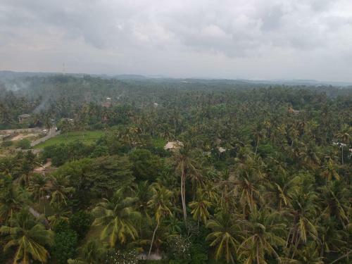 Mellow Hostel Sri Lanka