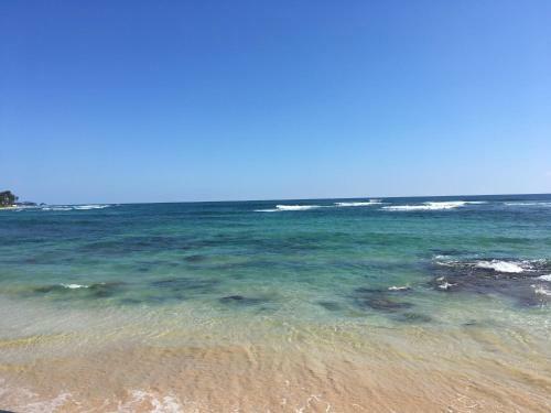 Hotel Shaka Surf Camp