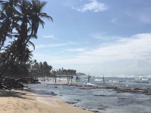 Hotel Shaka Surf Camp