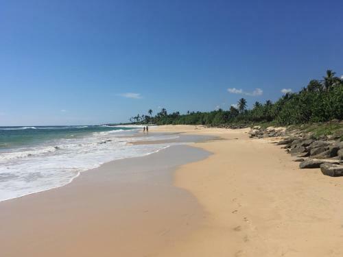 Hotel Shaka Surf Camp