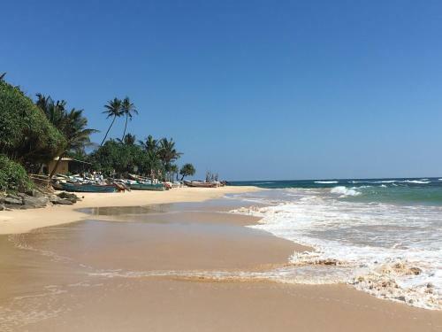 Hotel Shaka Surf Camp