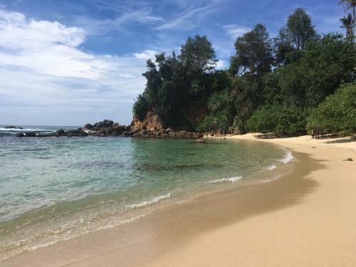 Hotel Shaka Surf Camp