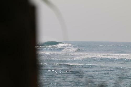 Hotel Shaka Surf Camp