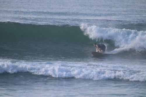 Hotel Shaka Surf Camp