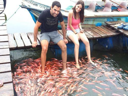 Hotel Crystal Oceanic