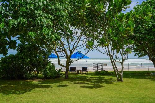 Bed & Breakfast Solas Surf