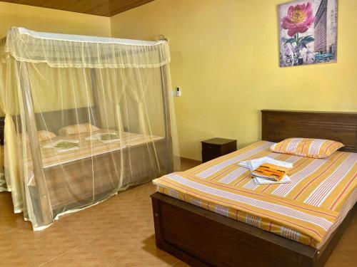 Hotel Green Land Villa