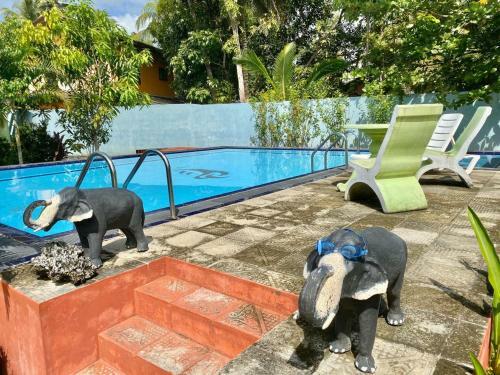 Hotel Green Land Villa