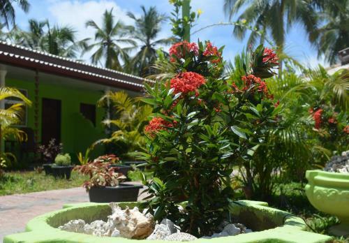 Hotel Green Land Villa