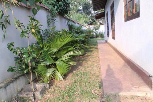 Villa Birds Paradise Hikkaduwa