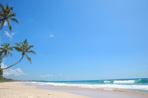Bed & Breakfast Limecabanas-srilanka