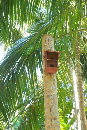 Bed & Breakfast Limecabanas-srilanka