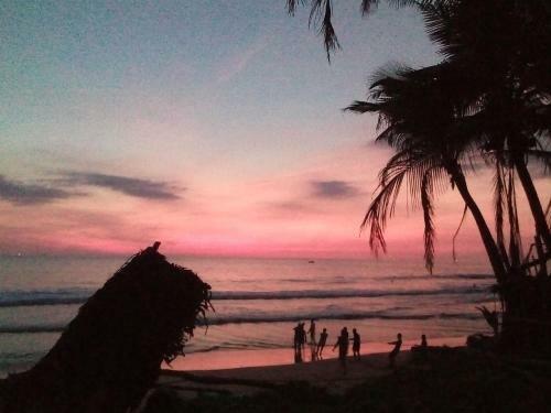 Just Chillin' Beach Hostel