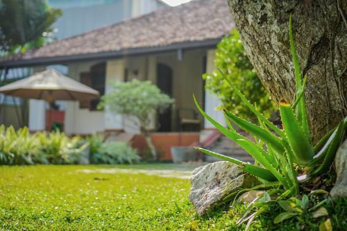 Villa The Bower Ceylon
